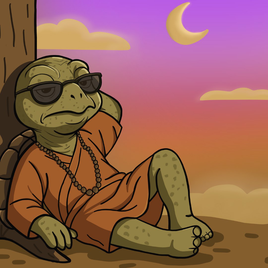 Papu - The wise meme coin guru